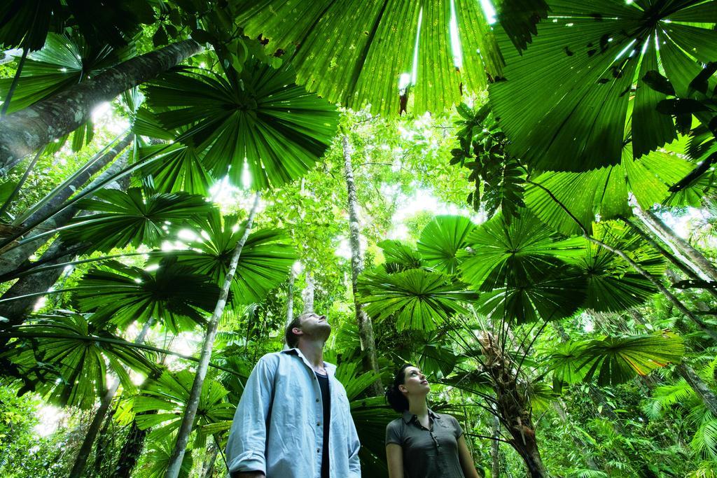 Black Palm Cape Tribulation Εξωτερικό φωτογραφία